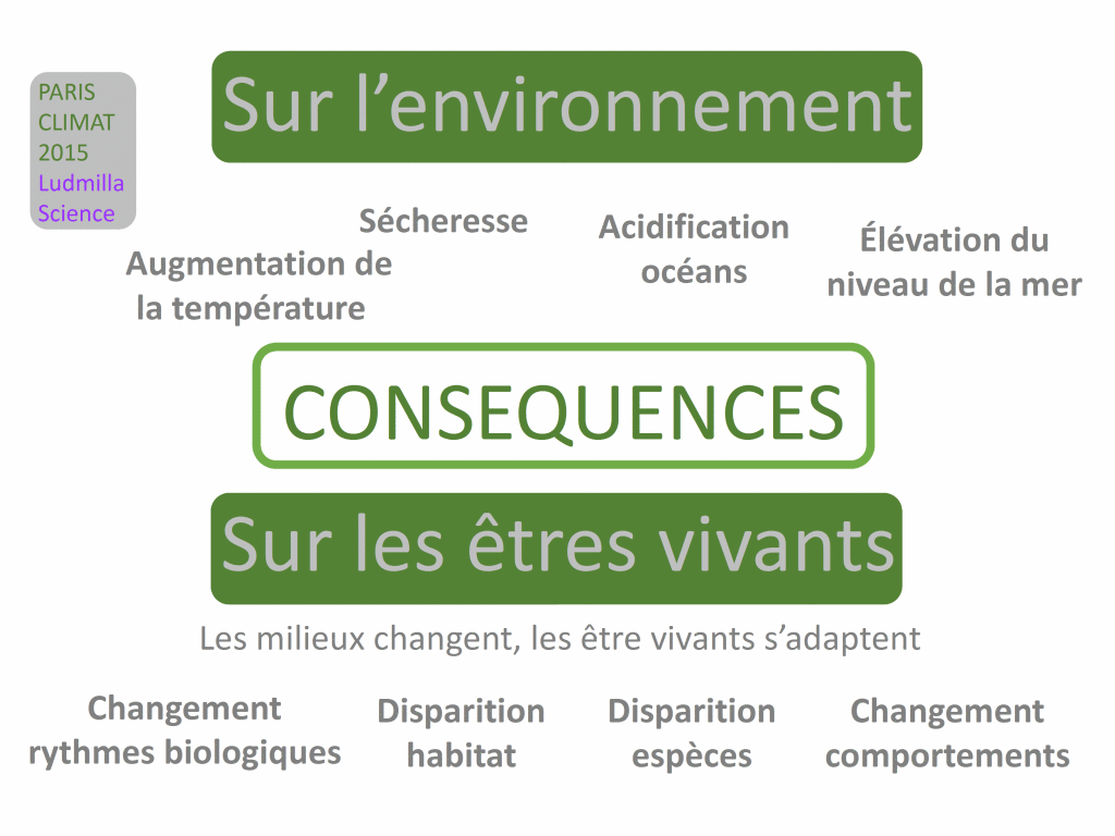 rechauffement climatique conséquences sur environnement êtres vivants