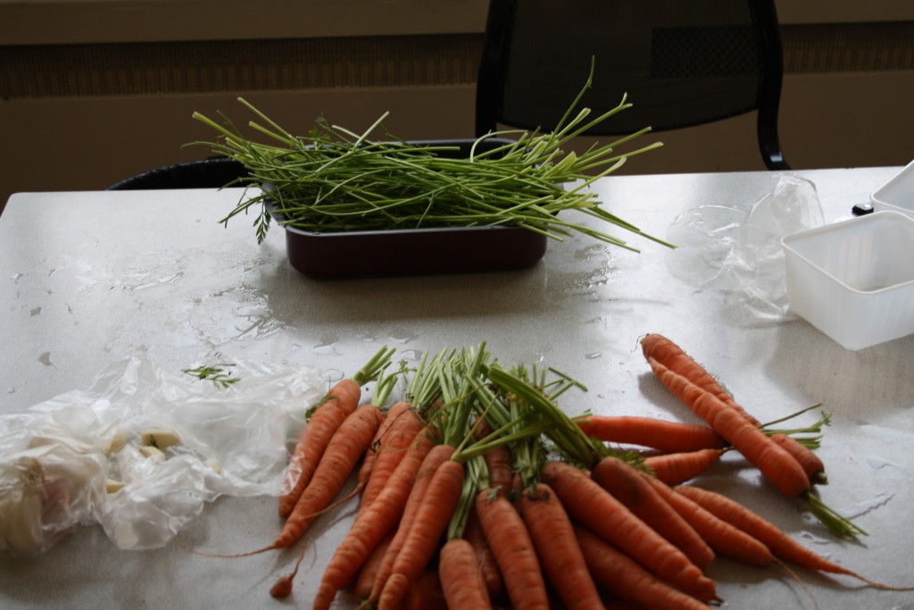 scarti foglie carota muschio sviluppo sostenibile attività bambini