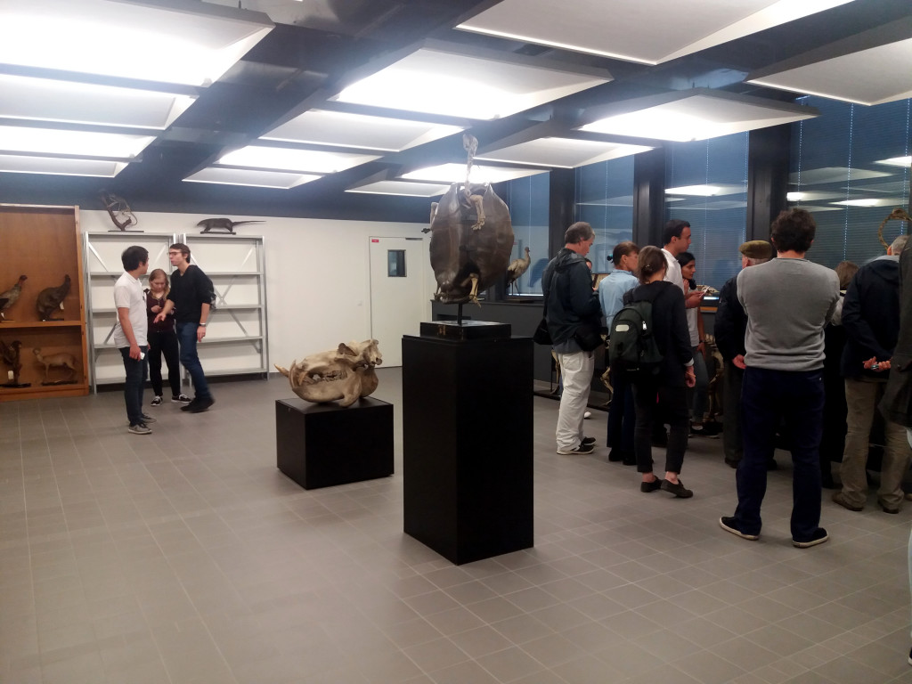 salle de la collection de zoologie de l'UPMC