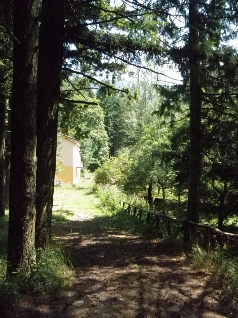 FRIGNOLI CENTRO EDUCAZIONE AMBIENTALE