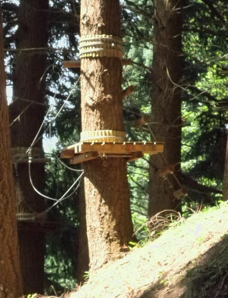 PERCORSO AEREO  orto botanico frignoli