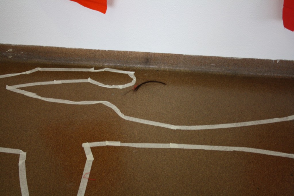 ciocca di capelli scena del crimine
