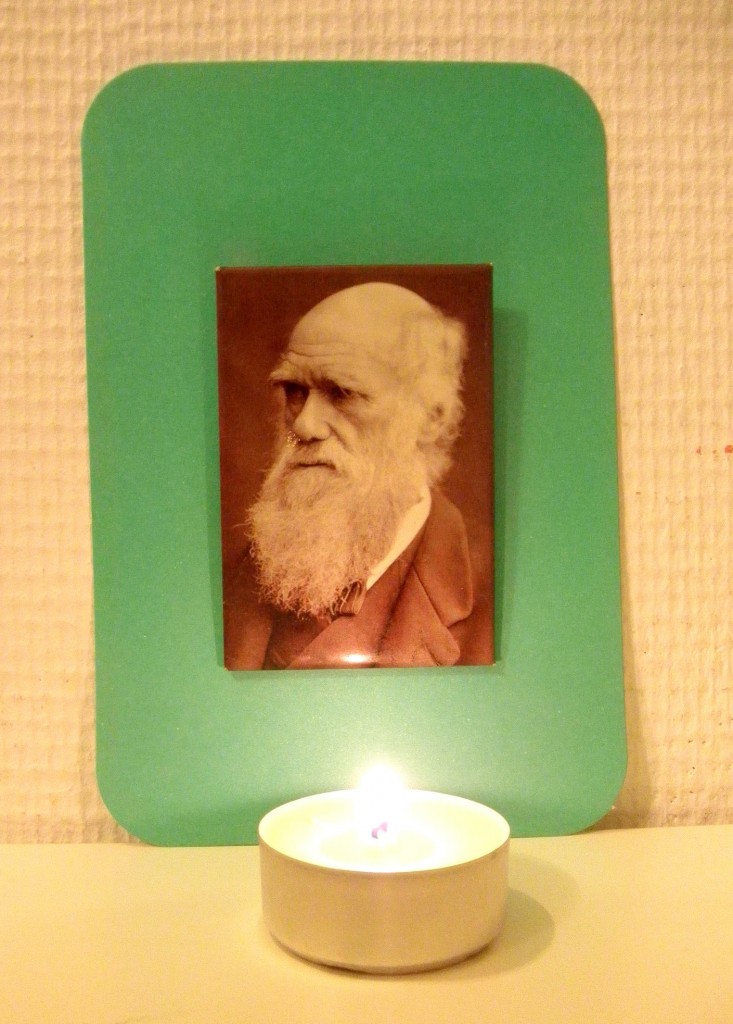 darwin day