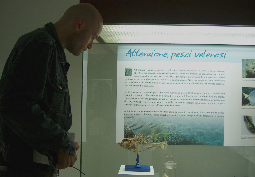 Il dottor Carnevale davanti ad una vetrina della mostra "Pesci fuor d'acqua" da lui ideata . Museo di Storia Naturale dell'Università di Pisa. 2007