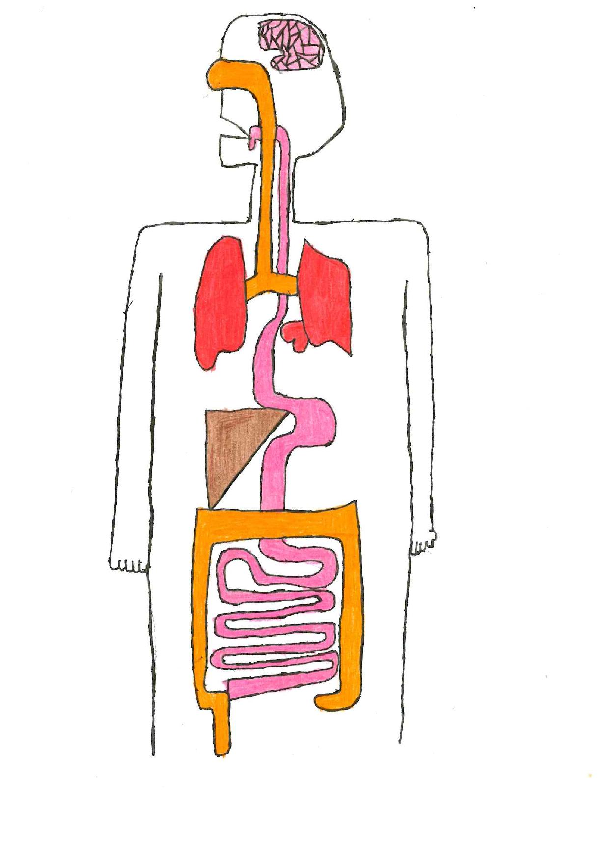 Disegni di bambini che hanno partecipato ai miei laboratori