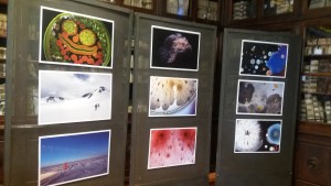 mostra